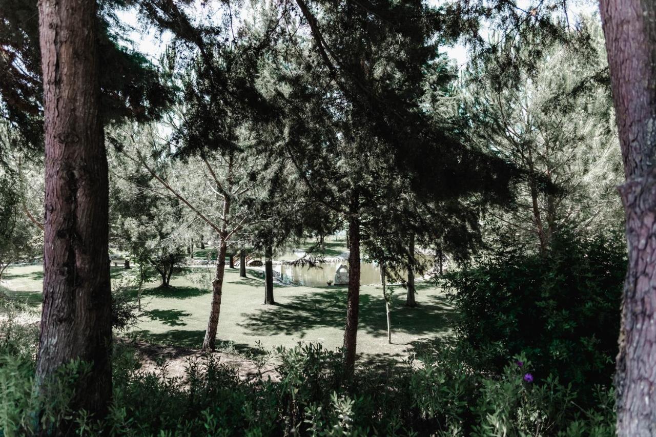 منزل الضيف Quinta Do Cerrado سيتوبال المظهر الخارجي الصورة
